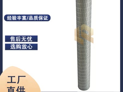 廠家批發(fā) FI-614-10P替代派瑞天然氣過濾器濾芯