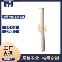 替代生產PECO派瑞JC644 燃氣天然氣聚結濾芯