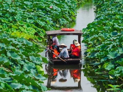 蘇州少兒暑假夏令營賞千畝荷花人與自然探索體驗營活動拓展報名中